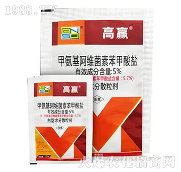 5%�װ������S���ر������}-���r˼�_