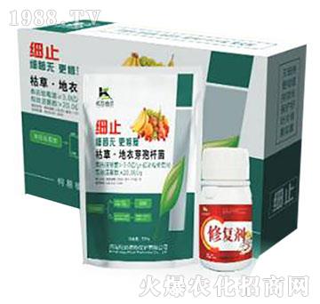 �ݲݡ�����ѿ�ߗU��-��ֹ-����ֲ��