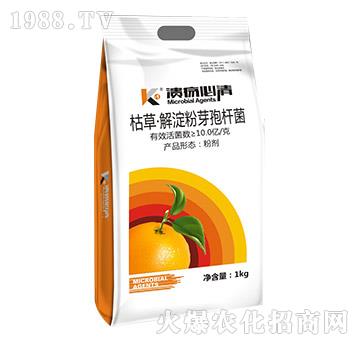 �ݲݡ������ѿ�ߗU��-��������-�T�_(d��)