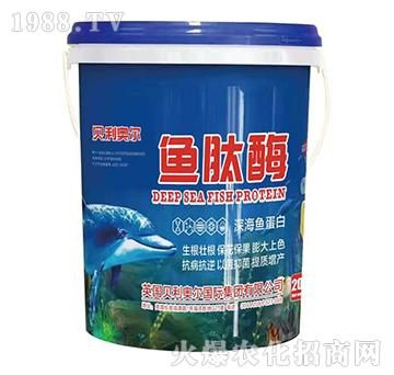 ��~(y��)����-�~(y��)��ø-�����S