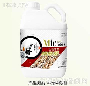 �����-��ʿ��