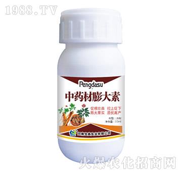 ��ˎ�������-���䌍�I(y��)