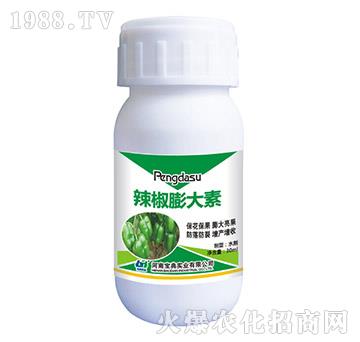 ���������-���䌍�I(y��)