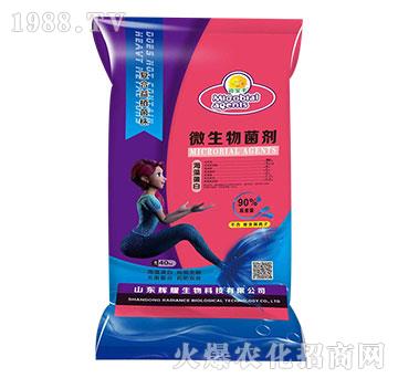 ���嵰��΢�������-�~���S-�xҫ����