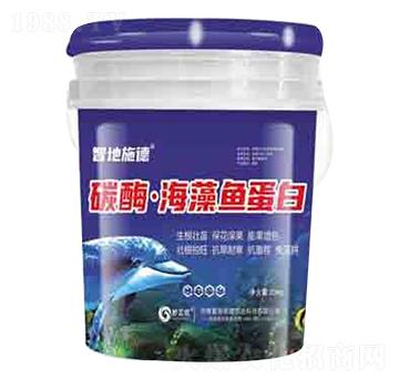 ̼ø�������~���� ����