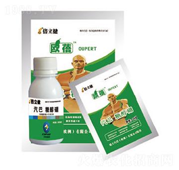 �Ǵ���-������-�����r(n��ng)�I(y��)