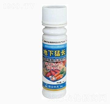 ���������-�������L-����ʘI(y��)