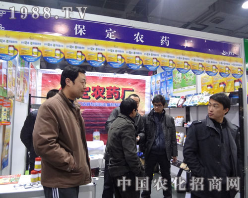 �����r(n��ng)ˎ�S����ʯ���fֲ�������̻�Ӳ���