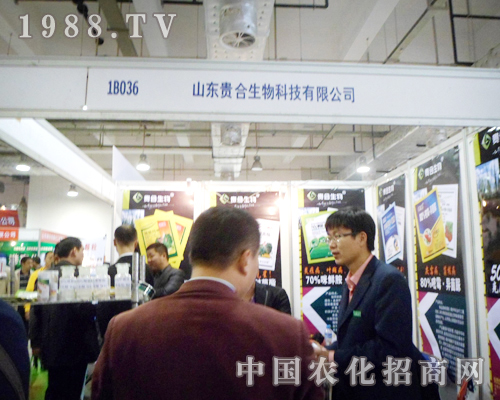 ɽ�|�F��ʢ�b��չ18��ɽ�|ֲ���p����