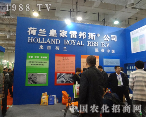 �װ�˹-���Ժ��m������(w��)�Ї�