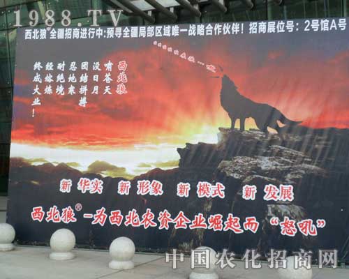 �����ǡ�ŭ���½�ֲ����