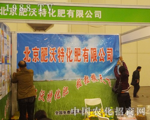 �����������L(f��ng)���B�B���ں��Ϸ����p����(hu��)�Ͻ�������