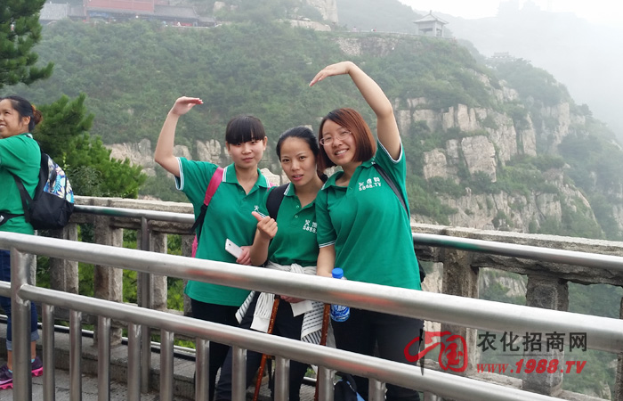 ��̩ɽ�����_������һ���Ǻ��~��