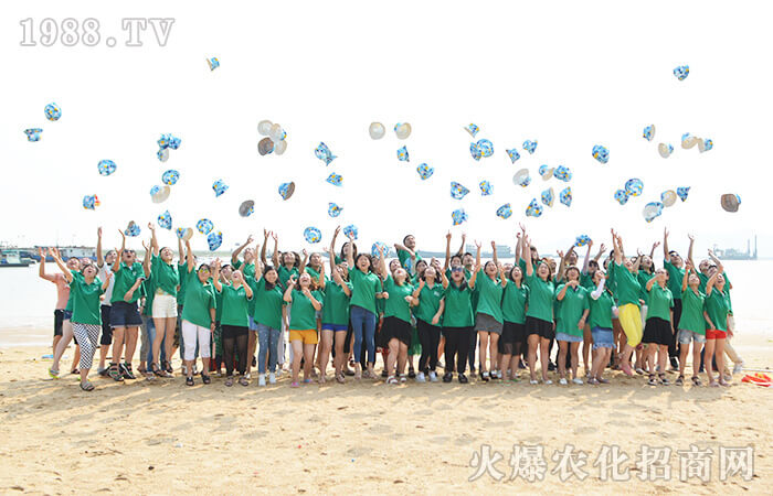 �B�Ƹۣ����`֮��