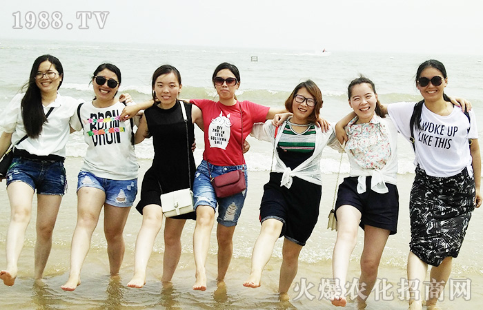 �B�Ƹ�֮��--�_̤��(sh��)���ߺ�����ÿһ����