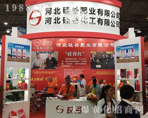 �ӱ���ȷʘI(y��)��2016�����r�Yչ�ի@�H��