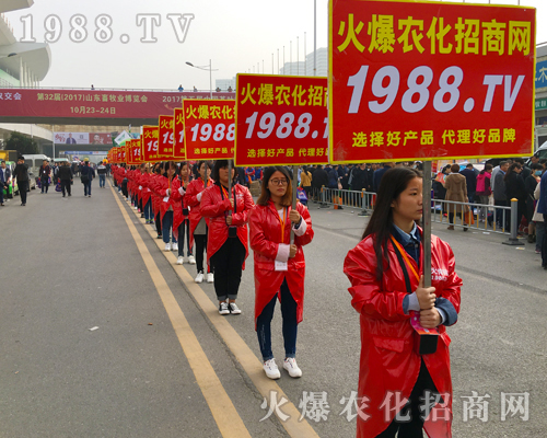 ʮ�����ʮ��������2017��ɽ�|ֲ���������r(n��ng)���W(w��ng)���ʳ�����