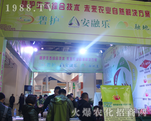 ���o�ڵ�33���Ї�ֲ���p��������Ч����