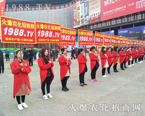 ���r���W�y��2017���ݷ��ϕ���������(zh��n)��