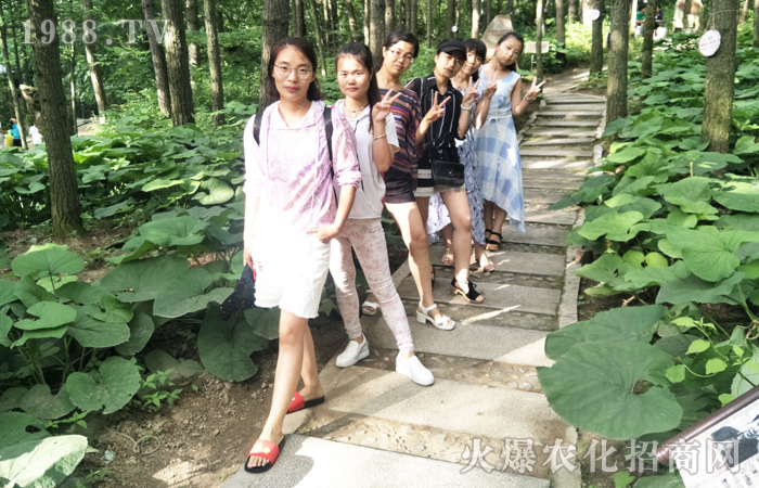 �o��(g��)���� ���_(d��)�K�c(di��n)