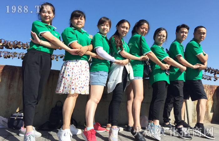 ����ʮ��������������Կh����ɽ