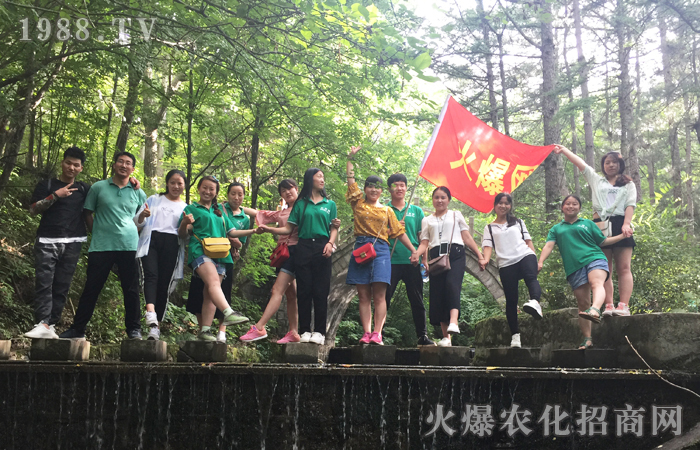 ���w���������O����