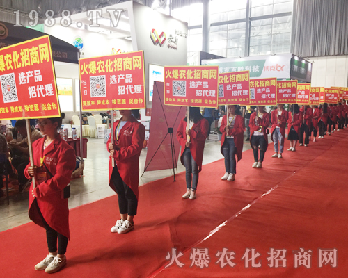 �o̎�����r(n��ng)���W(w��ng)���M�۱M�ǻ𱬼t��