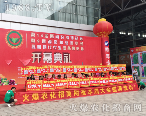 Ҫ�������ң�1988.TV�ذ�����2017�����r�Y����