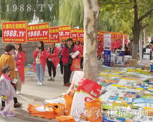     2018ɽ�|ֲ���p����(hu��)�ϻ��r(n��ng)���W(w��ng)�ľ�Ӣ����ͬ��푣�