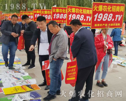     2018ɽ�|��(j��)��ֲ�����ו�(hu��)�����r(n��ng)���W(w��ng)����ֱǰ��