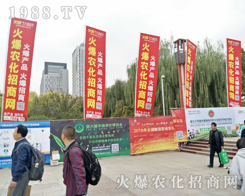 2018ɽ�|ֲ���p�����������r(n��ng)���W(w��ng)ȫ���������̹���