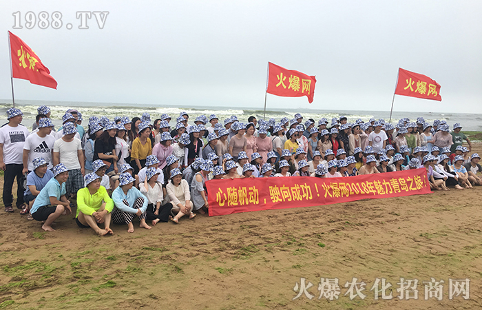 �t�u�G�ߣ��̺��{(l��n)��  ��pick�˴��P(gu��n)