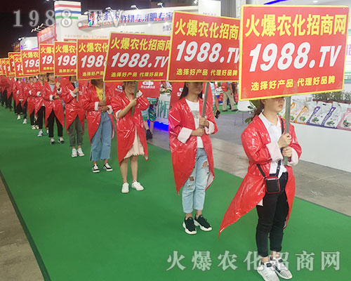 2018�����r(n��ng)�Y��(hu��)��1988.TV������������(sh��)���ɓ�