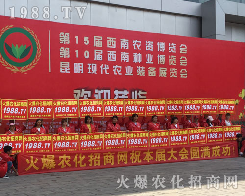 �o̎�����r(n��ng)���W(w��ng)���M�۱M�ǻ𱬼t��