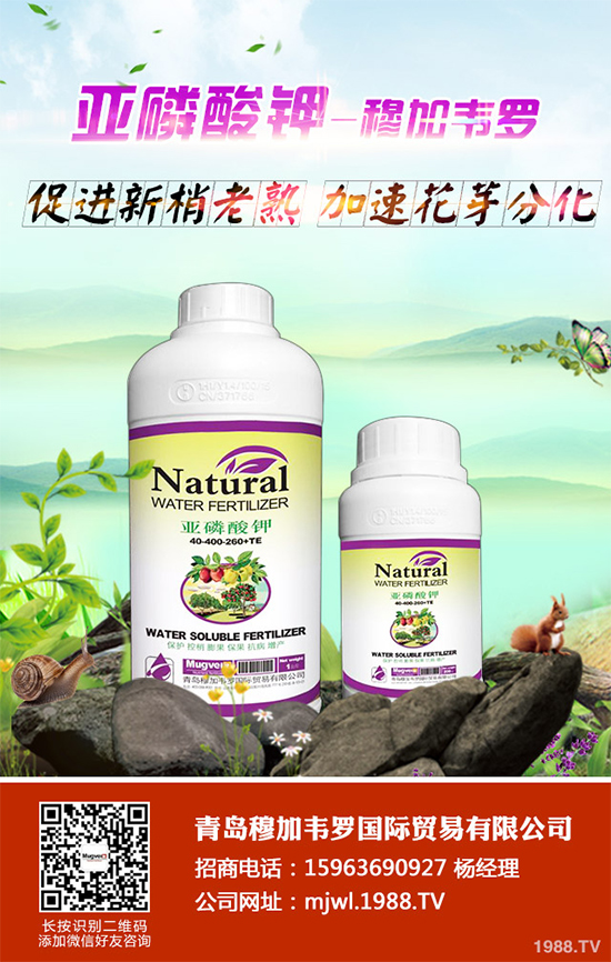 甘藍(lán)軟腐病有哪些癥狀表現(xiàn)？是如何發(fā)生的？甘藍(lán)軟腐病預(yù)防措施