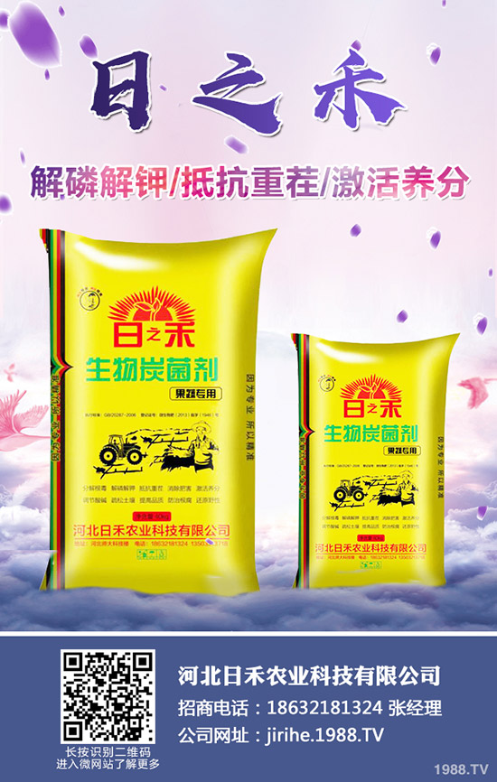 2019С��?zh��n)�ô�r(sh��)��Nֲ��С���Nֲע��Ҫ�c(di��n)��