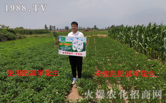     好產(chǎn)品用事實說話，“肥減半”用過的農(nóng)戶都說好！