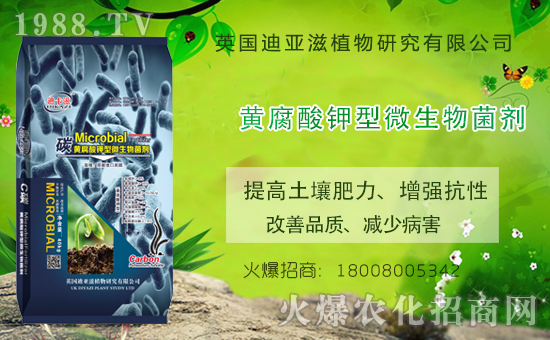 �r(n��ng)���W(w��ng)ϲӭ��������Ӣ��(gu��)�ρ��̔y��1988.TV���_�ؾW(w��ng)�j(lu��)������������