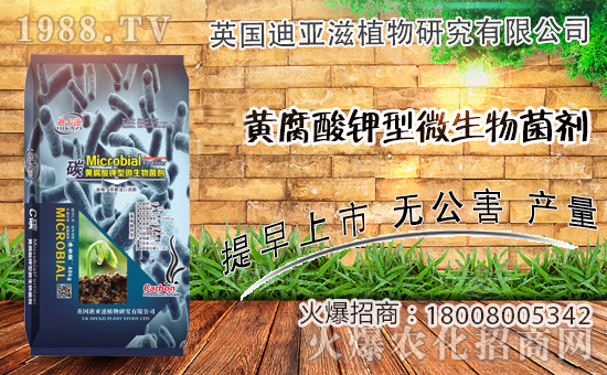 �r(n��ng)���W(w��ng)ϲӭ�����ѣ�Ӣ��(gu��)�ρ��̔y��1988.TV���_�ؾW(w��ng)�j(lu��)������������