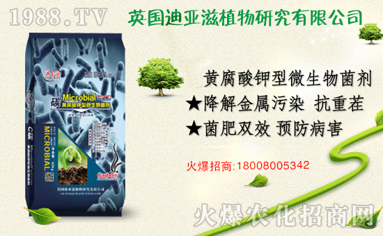 �r(n��ng)���W(w��ng)ϲӭ��������Ӣ��(gu��)�ρ��̔y��1988.TV���_�ؾW(w��ng)�j(lu��)������������