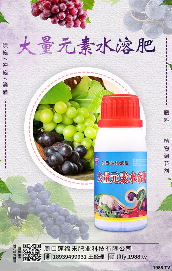 冬小麥播種后出苗不齊是怎么回事？小麥出苗不好預(yù)防措施！