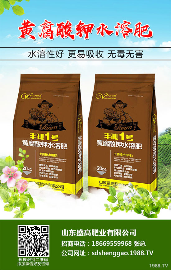 小白菜什么時候種植？小白菜高產(chǎn)種植技術(shù)