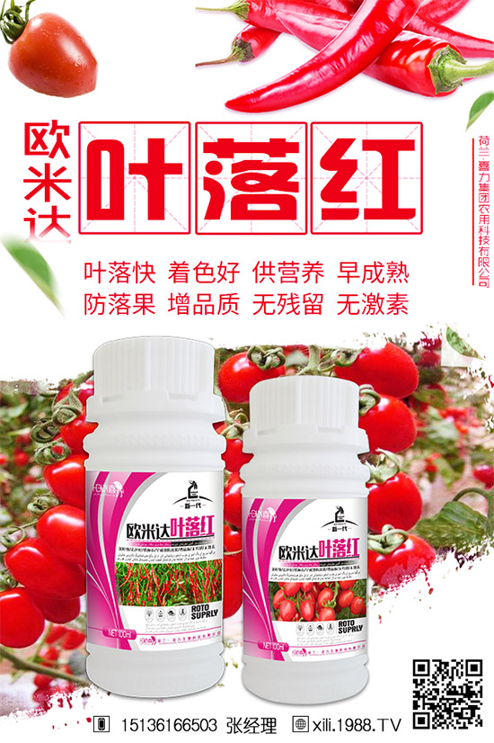 茄子生長期為啥會早衰？防治茄子早衰的方法！