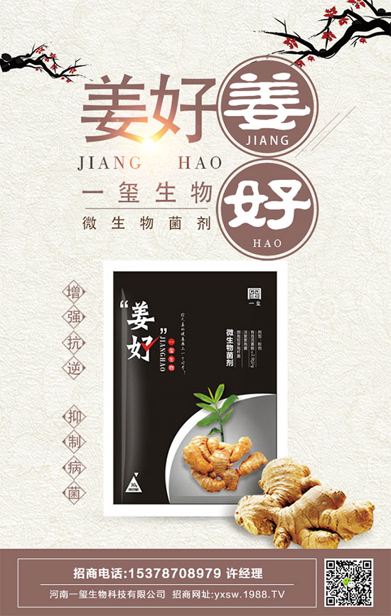 茄子的功效與作用，茄子的營養(yǎng)價(jià)值