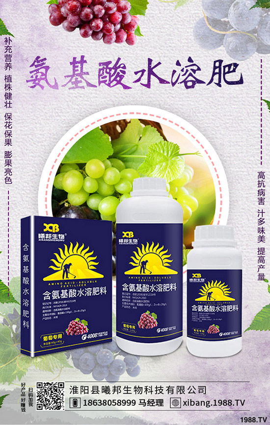 �＾�}����ô�Nֲ���＾�}���Nֲ���g(sh��)������Ҫ�c(di��n)��