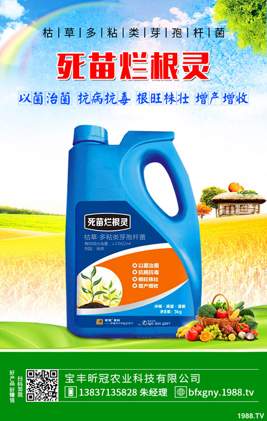 ��ô�Nֲ�_�h�����_�h���Nֲ������B��