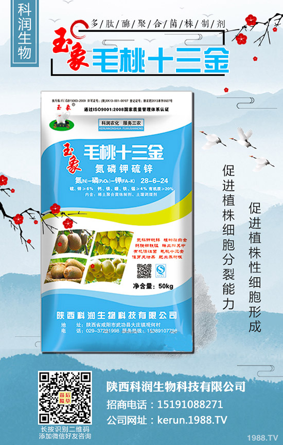     2019-10-30最新二銨價(jià)格行情動(dòng)態(tài)評(píng)述，多少錢一噸？