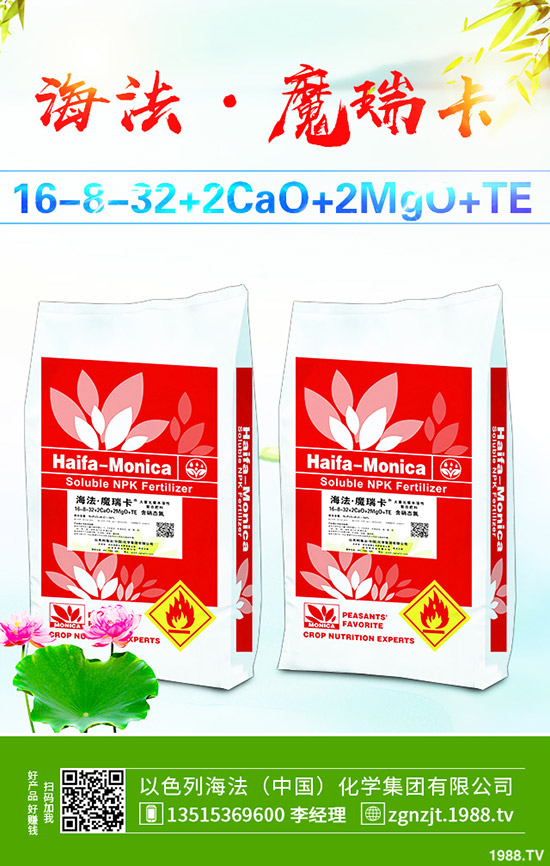     2019年10月31日今日國內(nèi)二銨價(jià)格走勢及交易日評