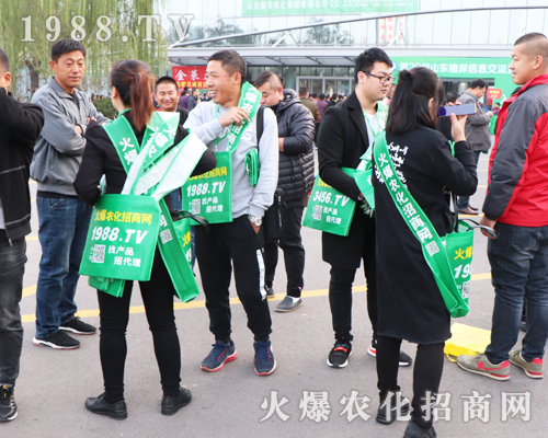 Ҫ����������1988.TV�ذ�����2019��26�Ý���ֲ���p������