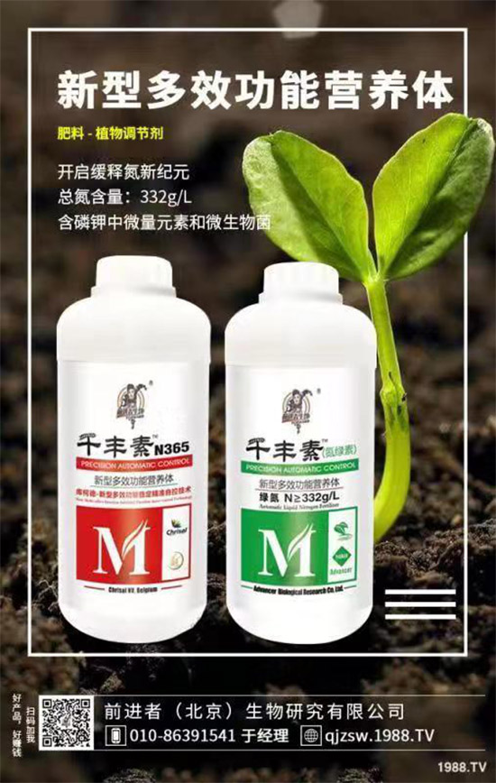 花生爛果怎么回事？花生爛果的防治措施！